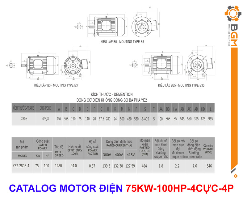 Bản vẽ Thông số Motor điện công suất 75Kw - 100Hp