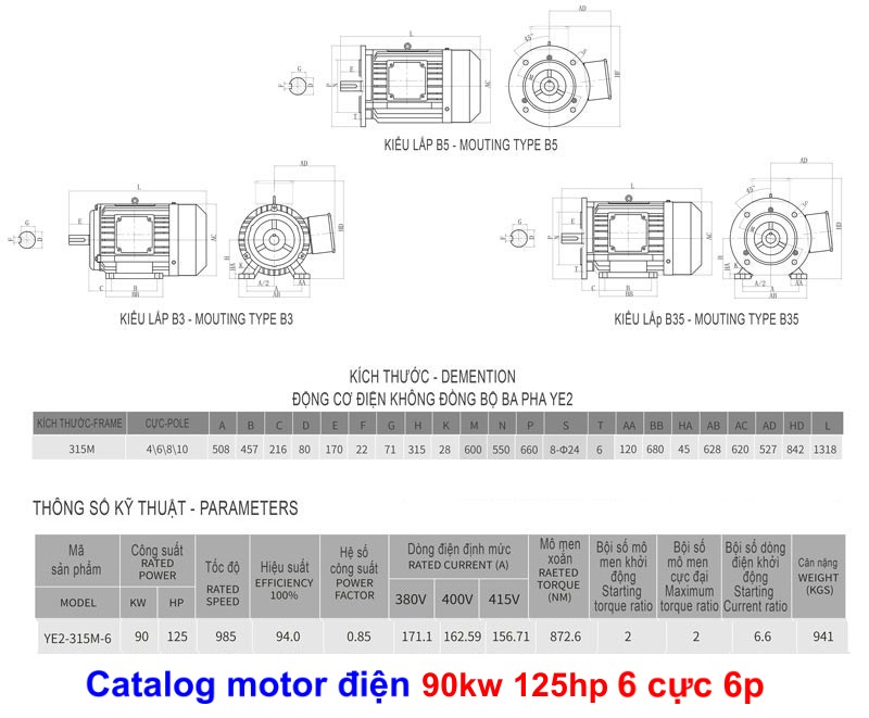 Bản vẽ chi tiết thông số motor 90kw 125hp 6p