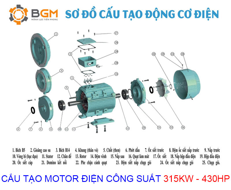sơ đồ cấu tạo chi tiết của Motor điện 315Kw -430Hp: