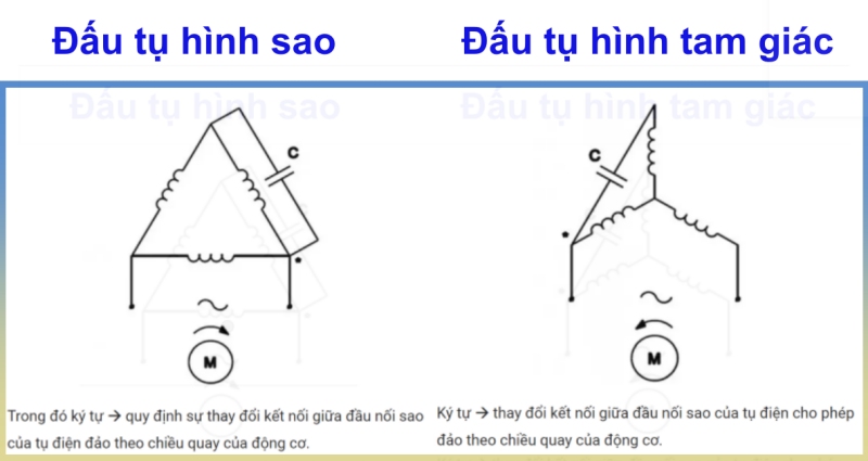 hình ảnh đấu tụ 