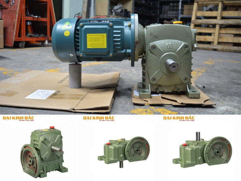 động cơ giảm tốc 3.7kw 5hp 1/200