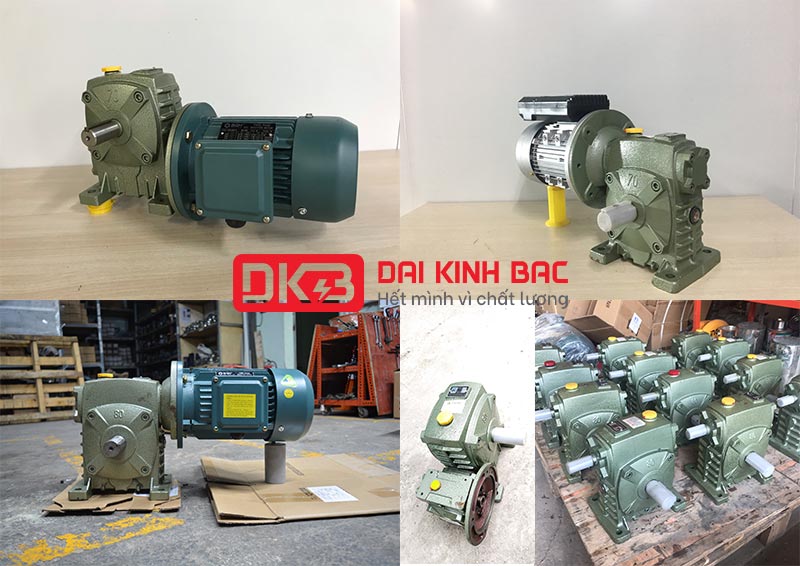 động cơ giảm tốc 1.5kw 2hp 1/200 