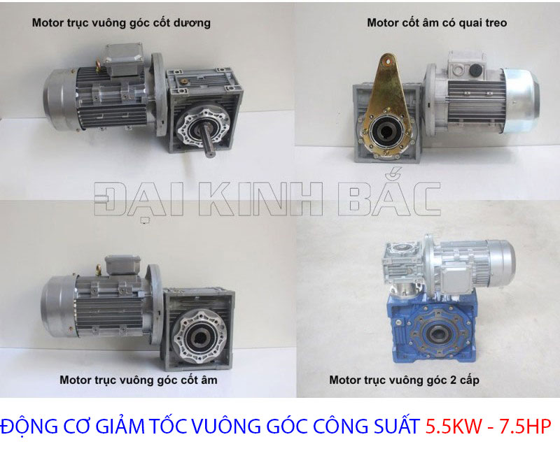 động cơ giảm tốc vuông góc 5.5kw 7.5hp