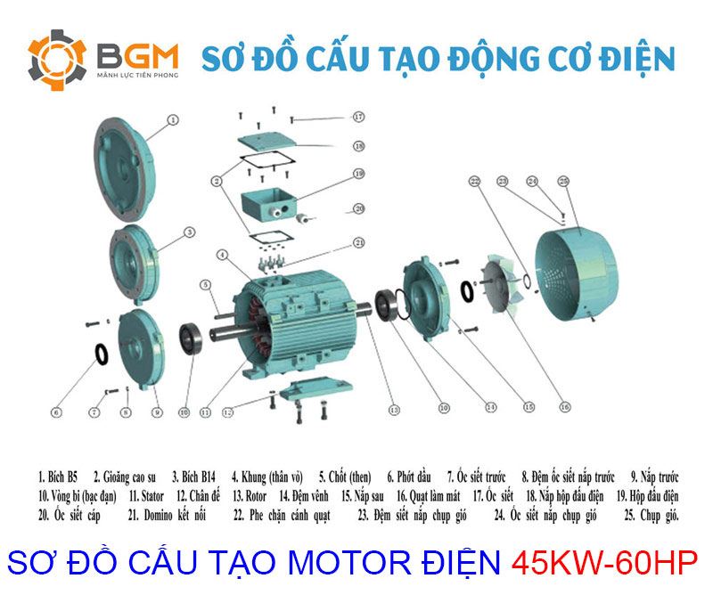 sơ đồ cấu tạo chi tiết của Motor điện 45Kw - 60Hp-2cực-2p