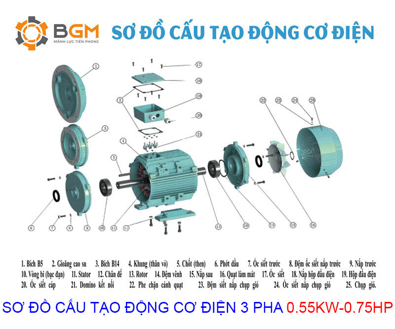 sơ đồ cấu tạo động cơ điện 3 pha 0.55kw 0.75hp