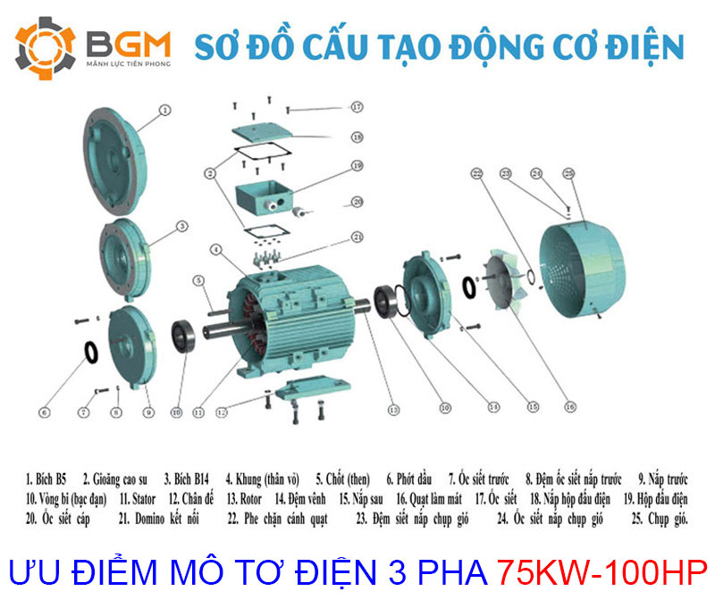 sơ đồ cấu tạo mô tơ điện 3 pha 75kw 100hp