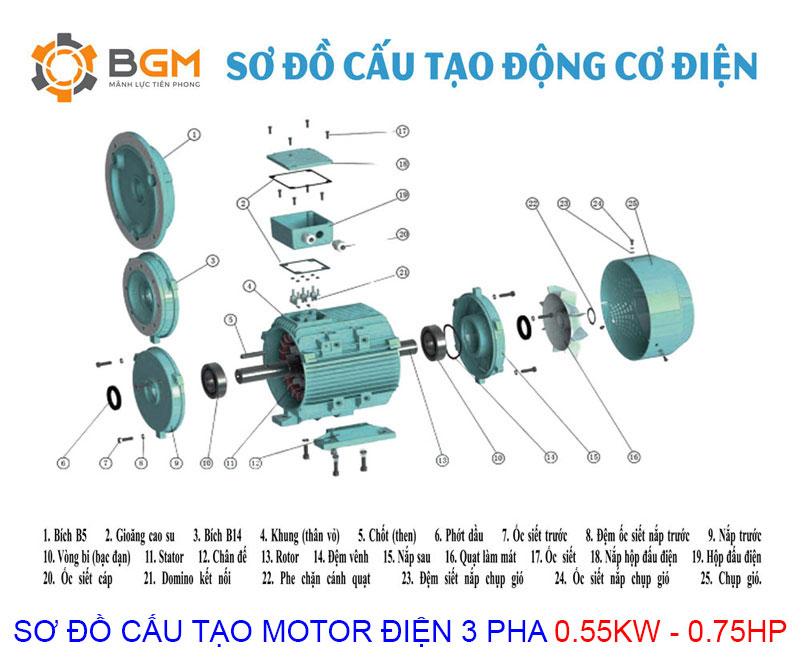 Sơ đồ cấu tạo chi tiết của Motor điện 3 pha 0.55Kw - 0.75Hp
