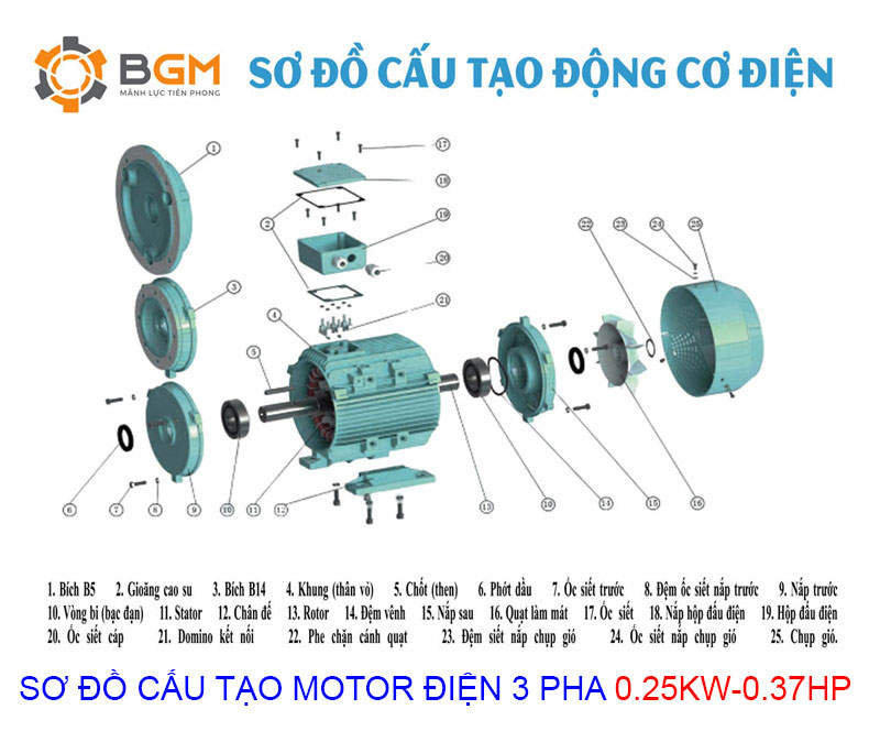 Sơ đồ cấu tạo chi tiết của Motor điện 3 pha 0.25Kw - 0.37Hp