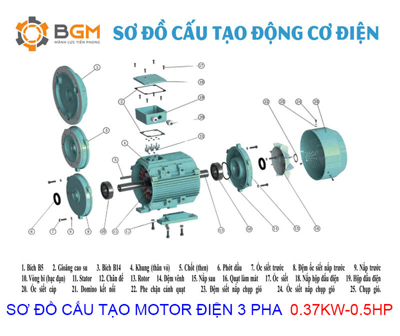 Sơ đồ cấu tạo chi tiết của Motor điện 3 pha 0.37Kw - 0.5Hp