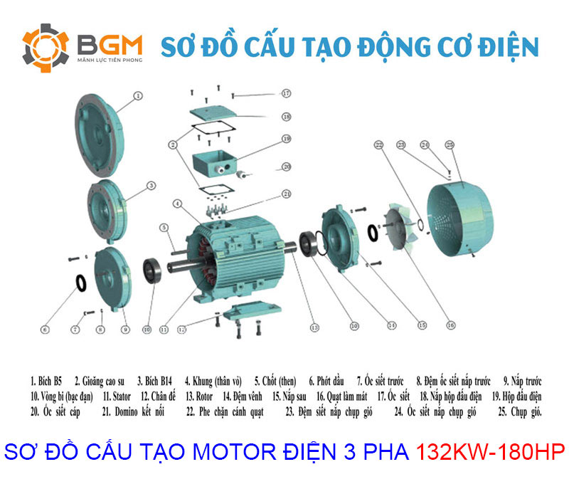 Sơ đồ cấu tạo chi tiết của Motor điện 3 pha 132Kw-180Hp: