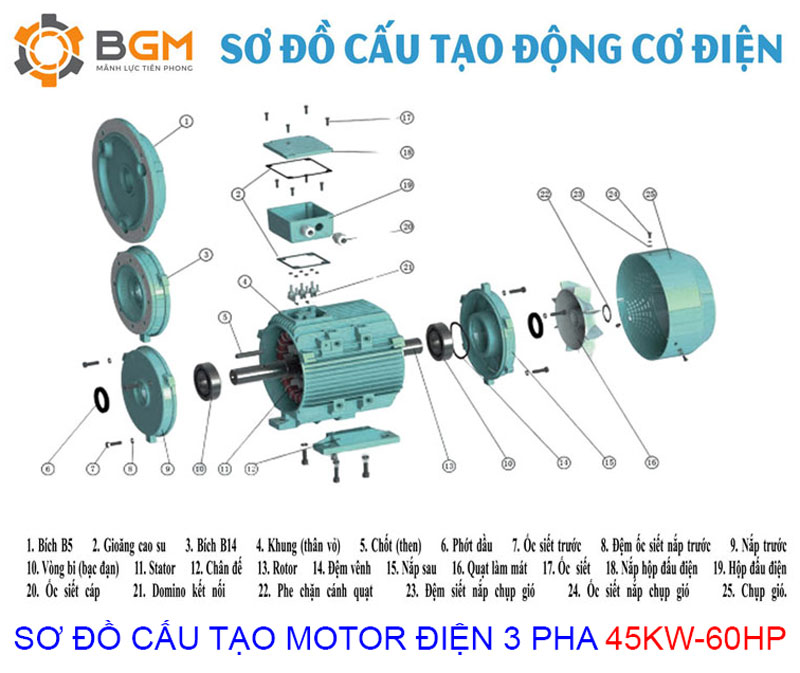 sơ đồ cấu tạo motor điện 3 pha 45kw 60hp