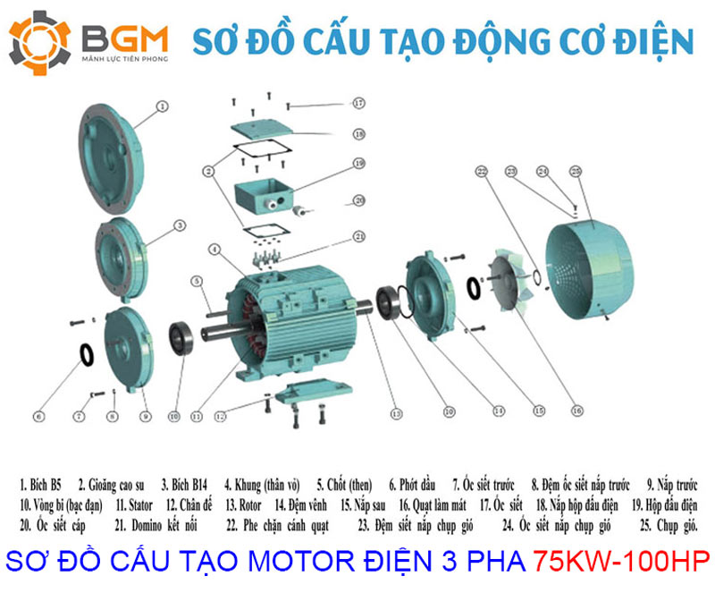 Sơ đồ cấu tạo chi tiết của Motor điện 3 pha 75Kw - 100Hp