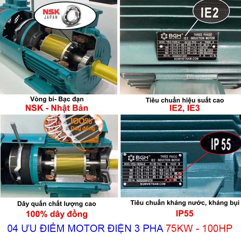 ưu điểm của Motor điện 3 pha 75Kw-100Hp