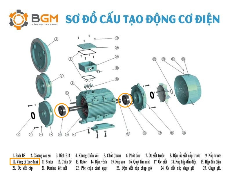 Cấu tạo của động cơ điện và vị trí của vòng bi