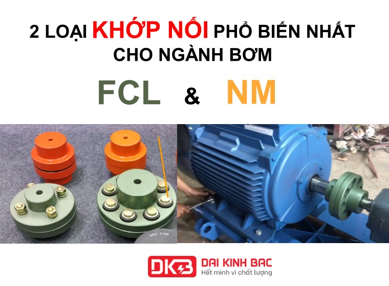 KHỚP NỐI NGÀNH BƠM : KHỚP NỐI FCL VÀ NM