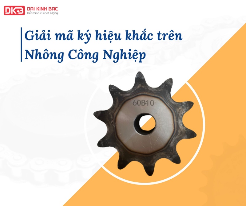 CÁCH ĐỌC MÃ XÍCH CON LĂN CHUẨN XÁC VÀ NHANH CHÓNG