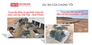 Cung cấp động cơ gạt phân trang trại chăn nuôi heo Việt Thái – Bình Phước