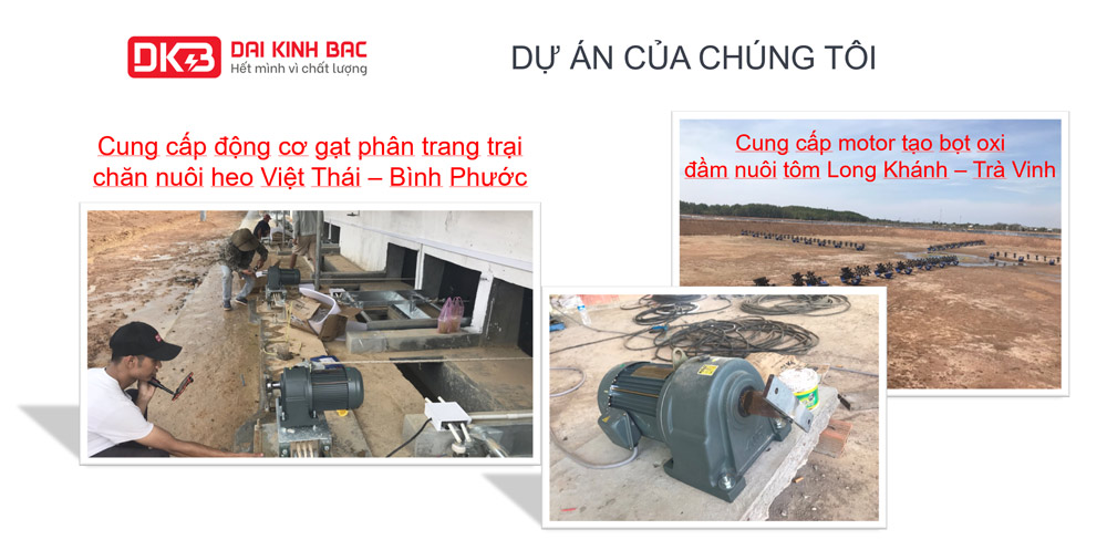 Cung cấp động cơ gạt phân trang trại chăn nuôi heo Việt Thái – Bình Phước