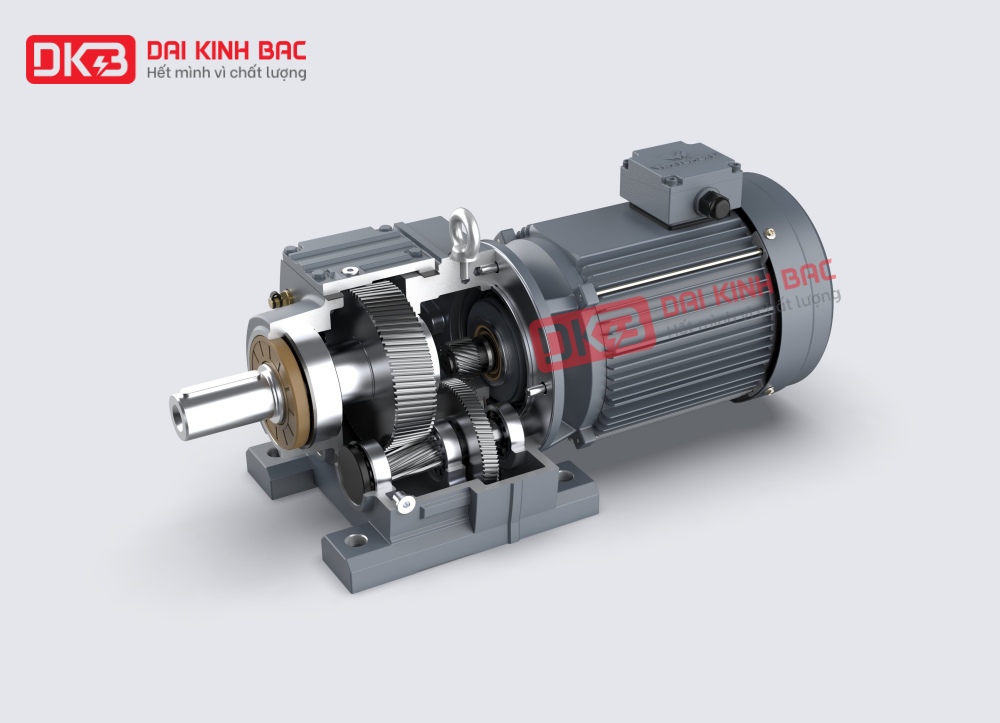 HỆ SINH THÁI MOTOR GIẢM TỐC TẢI NẶNG RSKF TẠI ĐẠI KINH BẮC