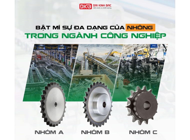 SỰ ĐA DẠNG CỦA NHÔNG TRONG NGÀNH CÔNG NGHIỆP