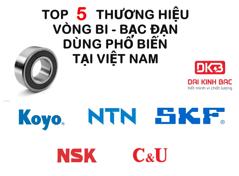 TOP 5 THƯƠNG HIỆU VÒNG BI - BẠC ĐẠN DÙNG PHỔ BIẾN TẠI VIỆT NAM