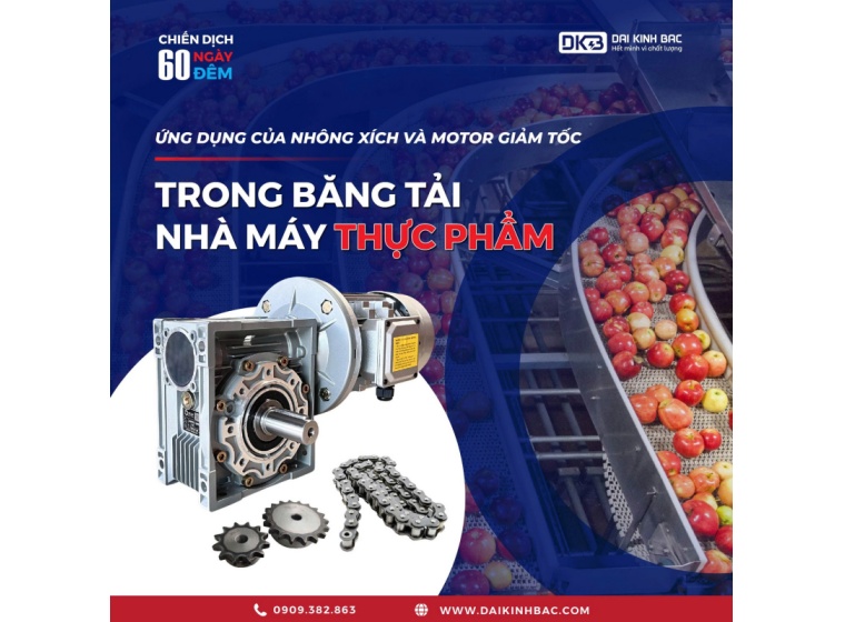 ỨNG DỤNG CỦA NHÔNG XÍCH VÀ MOTOR GIẢM TỐC TRONG BĂNG TẢI NHÀ MÁY THỰC PHẨM