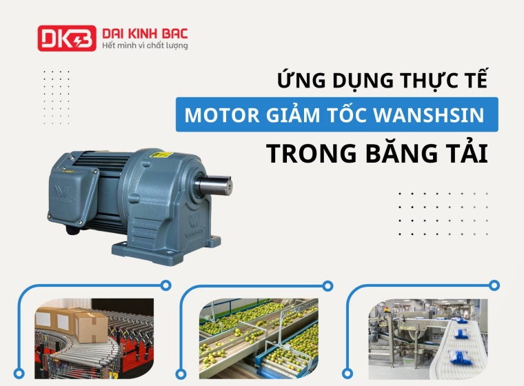 ỨNG DỤNG BĂNG TẢI THỰC TẾ MOTOR GIẢM TỐC WANSHSIN