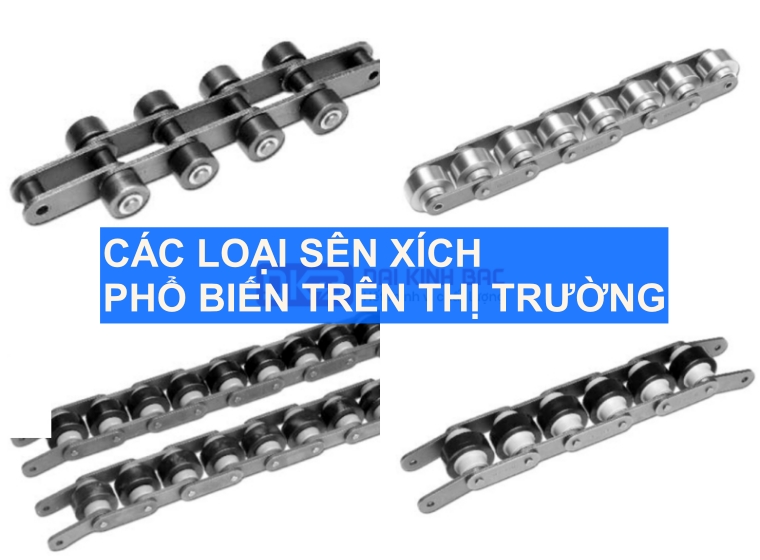 CÁC LOẠI SÊN XÍCH PHỔ BIẾN TRÊN THỊ TRƯỜNG