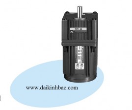 Mô Tơ Giảm Tốc Mini 1Pha 220V 6w~150w
