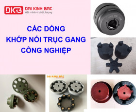 Các Dòng Khớp Nối Trục Gang Công Nghiệp