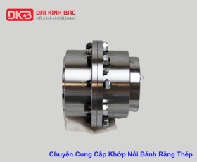 Chuyên Cung Cấp Khớp Nối Bánh Răng Thép