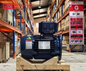 ĐỘNG CƠ ĐIỆN IE2 HYOSUNG 3KW-6P-380V-TE-F-IE2