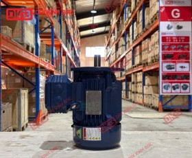 ĐỘNG CƠ ĐIỆN IE2 HYOSUNG 3KW-6P-380V-TE-F-IE2