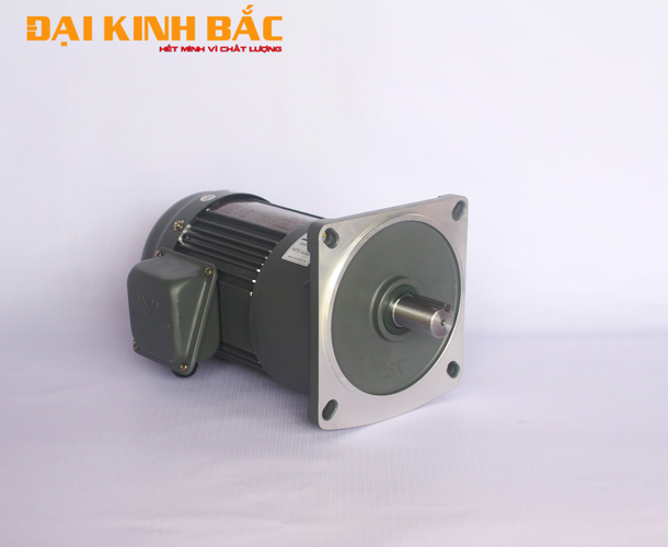 Động cơ giảm tốc 0.2kw 1/4hp