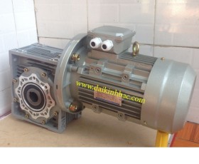 Động Cơ Giảm Tốc Cốt Âm