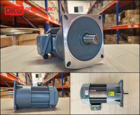 ĐỘNG CƠ GIẢM TỐC MẶT BÍCH WANSHSIN GV22-400W-10S