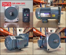 ĐỘNG CƠ GIẢM TỐC MẶT BÍCH WANSHSIN GV22-400W-15S