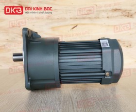 ĐỘNG CƠ GIẢM TỐC MẶT BÍCH WANSHSIN GV28-400W-40S