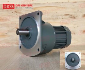 ĐỘNG CƠ GIẢM TỐC MẶT BÍCH WANSHSIN GV32-750W-50S