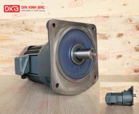 ĐỘNG CƠ GIẢM TỐC MẶT BÍCH WANSHSIN GV50-2200W-200S