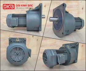 ĐỘNG CƠ GIẢM TỐC MẶT BÍCH WANSHSIN GV50-3700W-200S