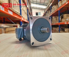 Động Cơ Giảm Tốc Wanshsin Mặt Bích