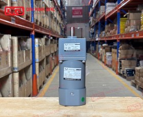 Mô tơ giảm tốc mini 6W-250W