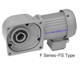 Mô Tơ Giảm Tốc Nissei GTR F series