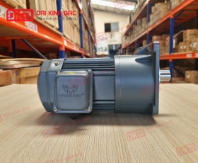 Mô tơ giảm tốc Wanshsin Mặt bích