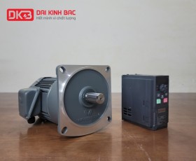 NHÀ PHÂN PHỐI ĐỘC QUYỀN MOTOR GIẢM TỐC TẢI TRUNG WANSHSIN TẠI VIỆT NAM